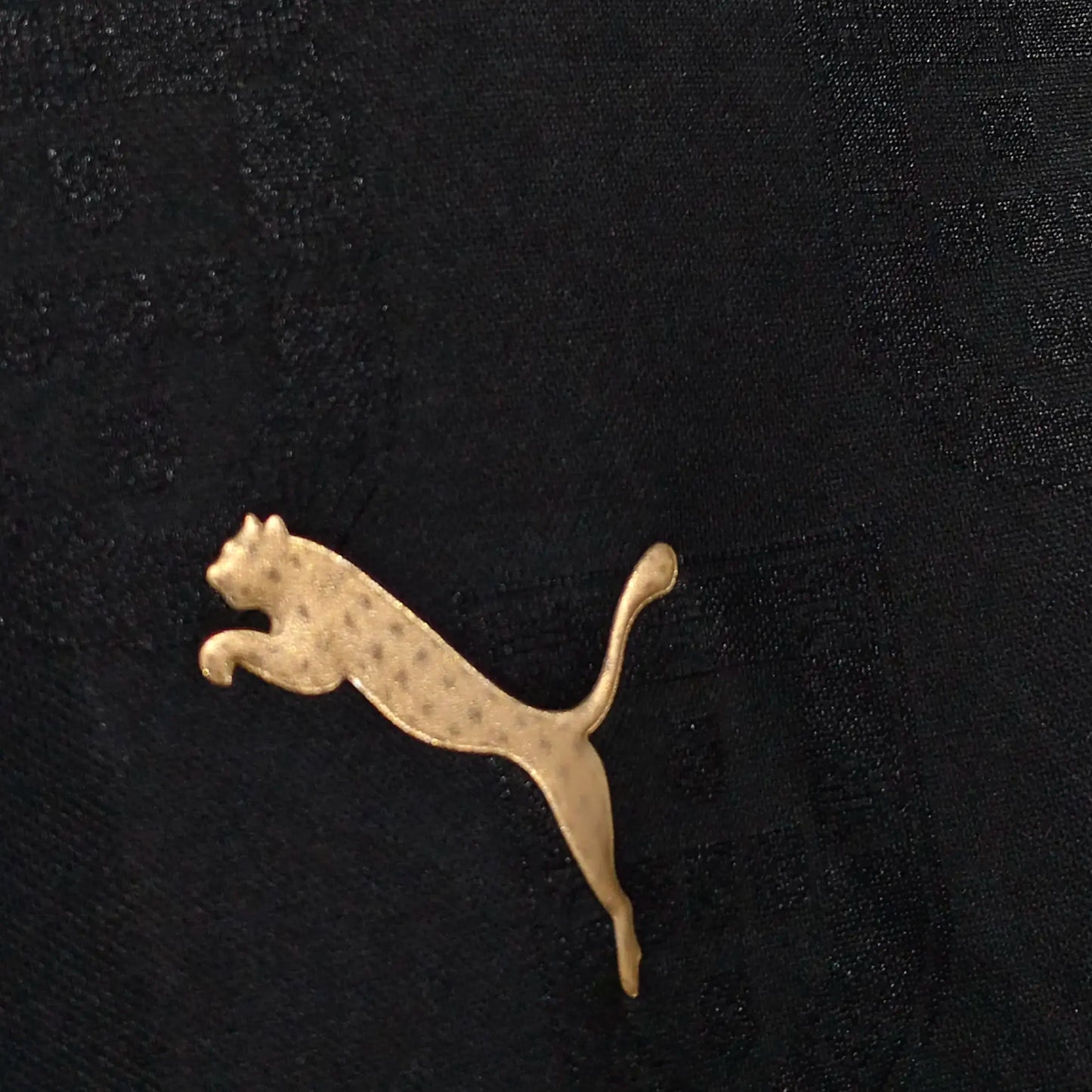 Gold-colored Puma logo on a black background